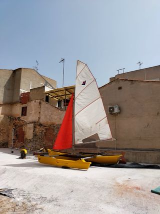 Barco Trimarán Virus Plus