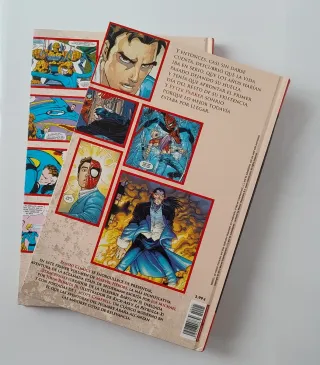 LOS 4 FANTÁSTICOS Y SPIDERMAN