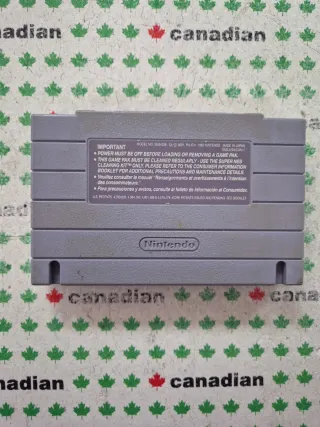 Battletoads in Battlemaniacs Super Nintendo