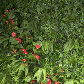 Jardín Vertical Artificial HAWAII 1x1m