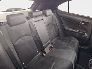Lexus UX 300e Business