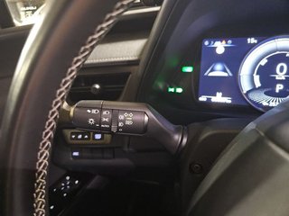 Lexus UX 300e Business
