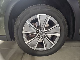 Lexus UX 300e Business