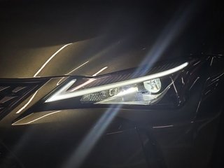 Lexus UX 300e Business