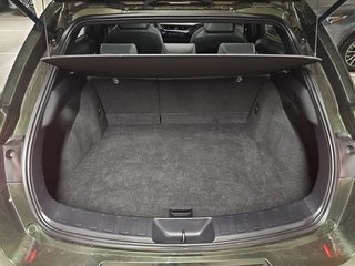 Lexus UX 300e Business