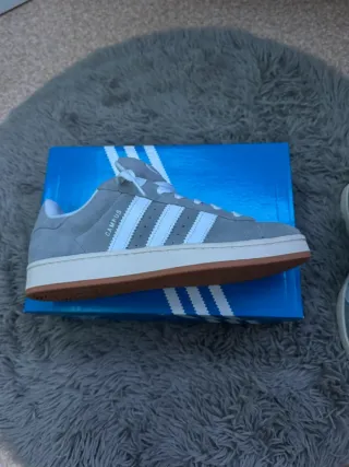 Adidas Campus Gris Talla 41