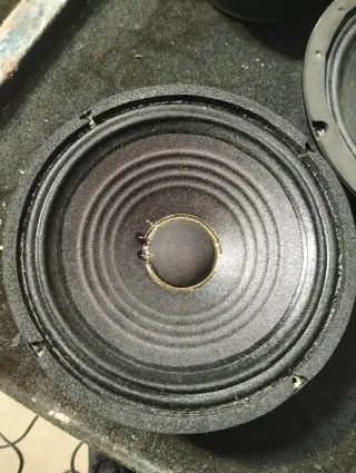 2 altavoces de 8 pulgadas