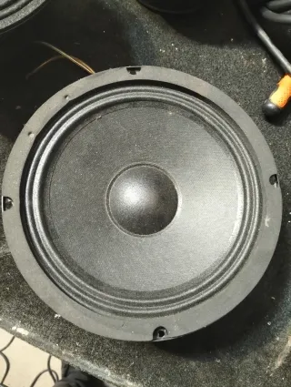 2 altavoces de 8 pulgadas