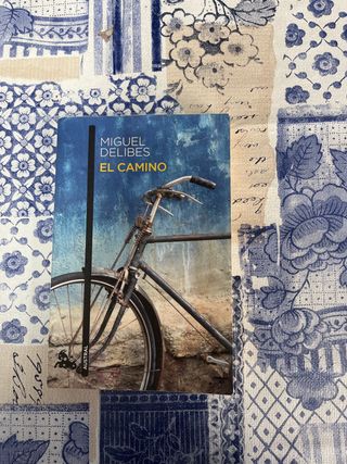 El camino (Spanish Edition)