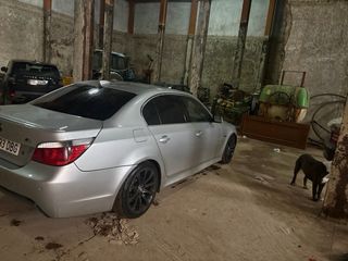 BMW Serie 5 2005