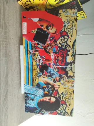 Lote 2 Vinilos Skate Bord