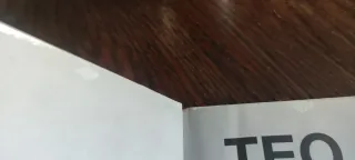 Teo en el día del libro