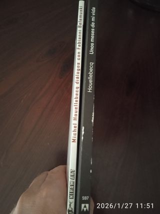 Lote de dos libros de Michel Houellebecq