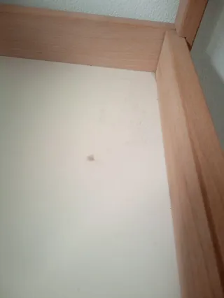 Cambiador SNIGLAR + hinchable + funda