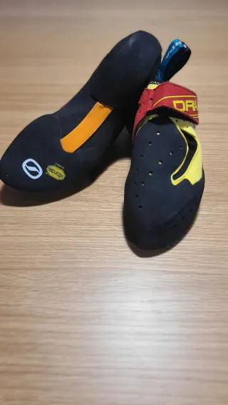 Scarpa Drago Talla 39