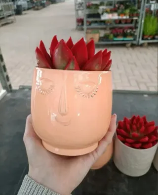 Set 2 Vasi Viso Ceramica Arancione