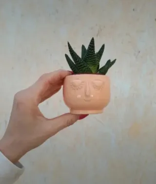 Set 2 Vasi Viso Ceramica Arancione