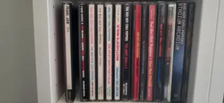 PJ Harvey Red Hot Chili Peppers, Pennywise, NOFX