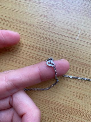 Colgante estrella de mar plata