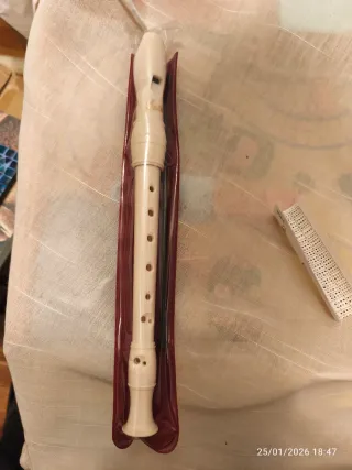 Flauta dulce para principiantes