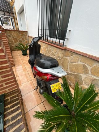 Despiece completo  typhoom