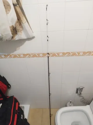 Puntero Daiwa Evo 33