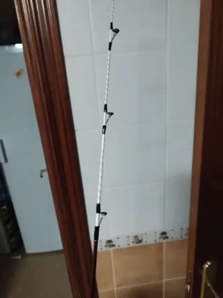 Puntero Daiwa Evo 33