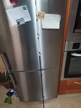 Puntero Daiwa Evo 33