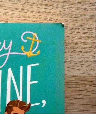 It Happened One Summer: A Novel (Bellinger Sist...