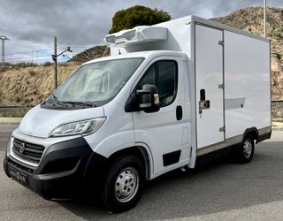 FIAT Ducato 2019 Camión frigorífico