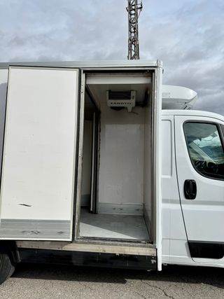 FIAT Ducato 2019 Camión frigorífico