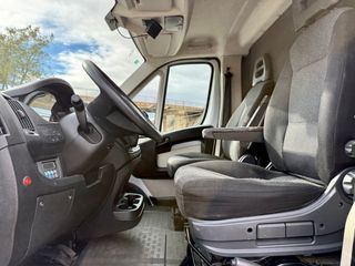 FIAT Ducato 2019 Camión frigorífico