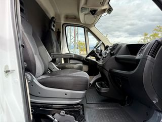 FIAT Ducato 2019 Camión frigorífico