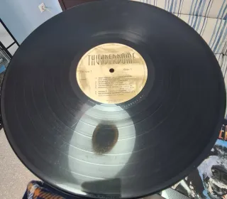 Varios - Thunderdome LP Partially Mixed [1993]