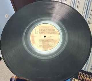 Varios - Thunderdome LP Partially Mixed [1993]