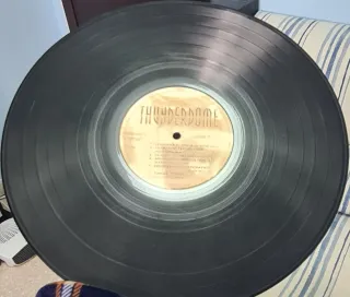 Varios - Thunderdome LP Partially Mixed [1993]