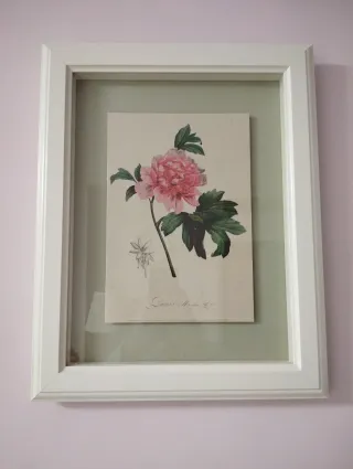 Cuadro decorativo flor rosa Ikea