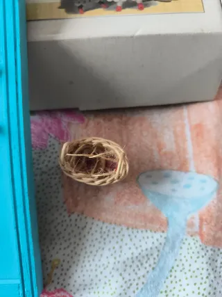 Puerta Ratoncito Pérez azul