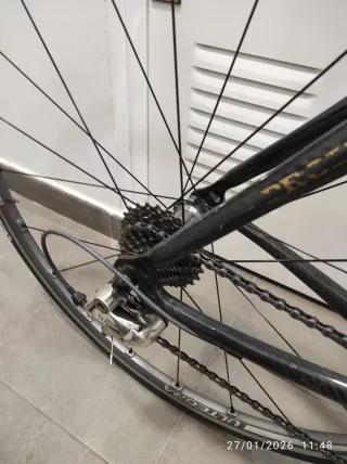 Bicicleta Macario Carbono