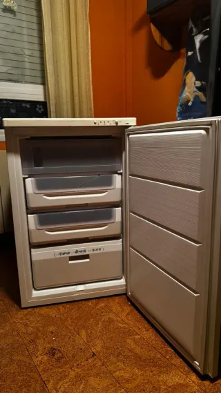 Congelador vertical decorado