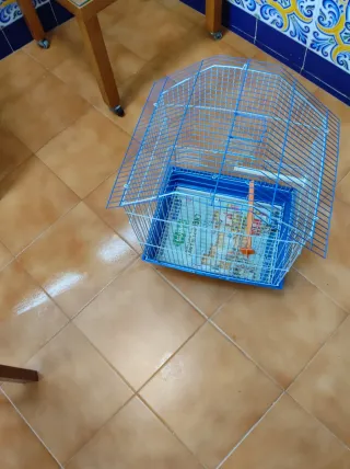 Jaula metálica para pájaros