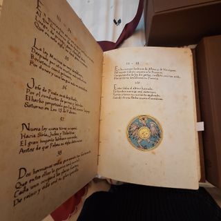 LIBRO LAS PROFECIAS DE NOSTRADAMUS