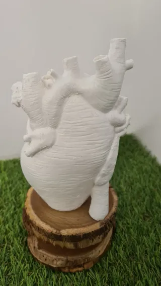 Vaso Cuore Anatomico Bianco
