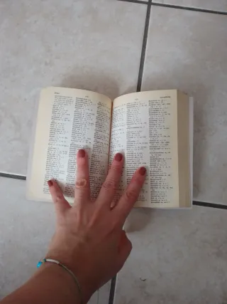 Italiano ortografia dizionario essenziale delle...