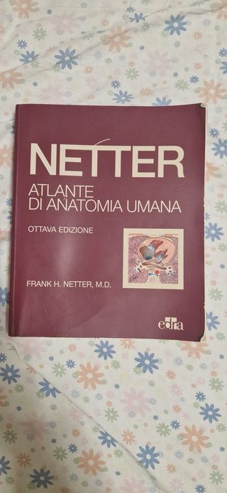 Atlante di Anatomia Umana Netter Ottava Edizione