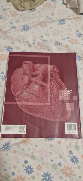 Atlante di Anatomia Umana Netter Ottava Edizione