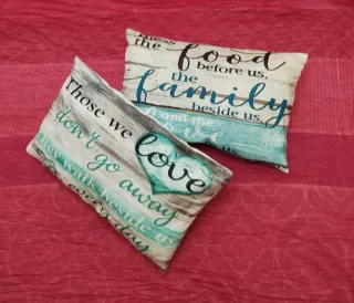 2 cojines juveniles 47x30 cm