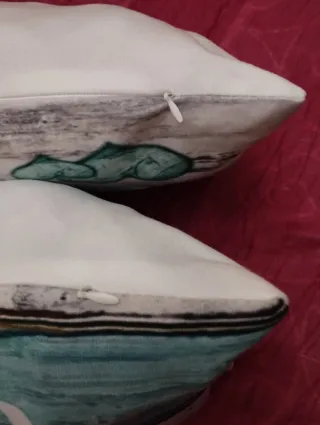 2 cojines juveniles 47x30 cm