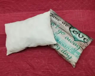 2 cojines juveniles 47x30 cm