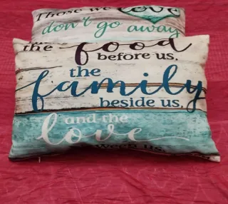 2 cojines juveniles 47x30 cm